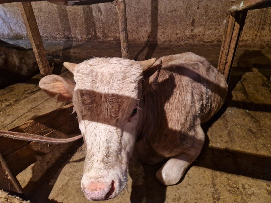 Түргень ТүргенТүргень