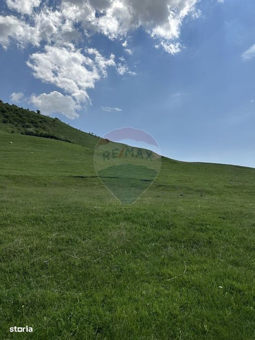 Teren 1,000mp Garcina / Strada Punct Marian