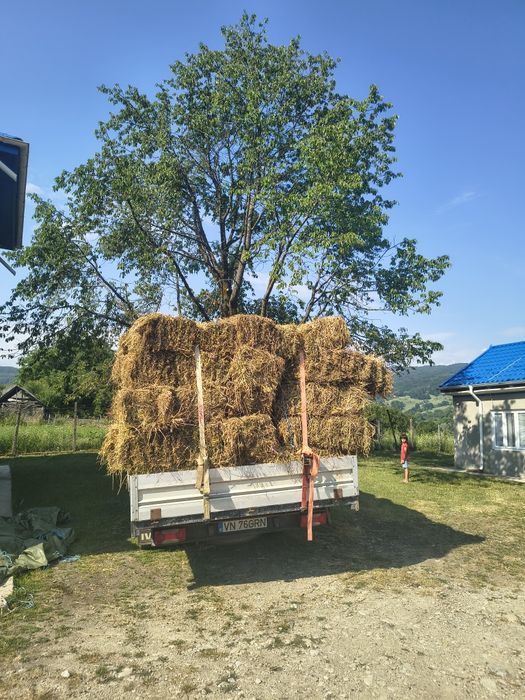 Baloti de lucerna de vânzare! 20 de lei balotul , asigur transport în toată Vrancea