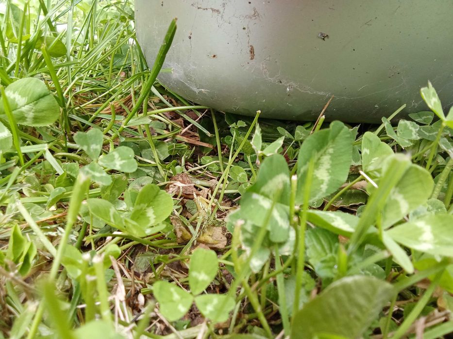 Плот мивка за каравана с три газови котлона - 50 евро.