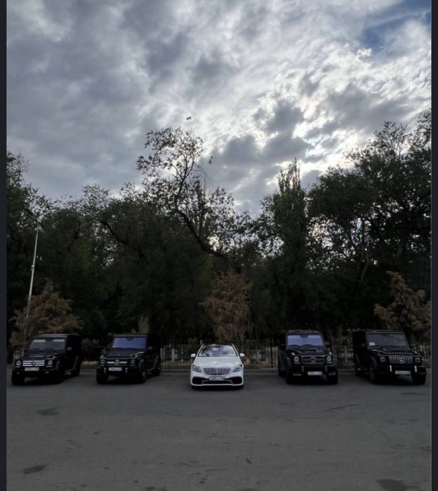 Прокат авто с водителем самые низкие цены