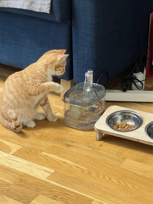 Продам поилку фонтачик для кошек