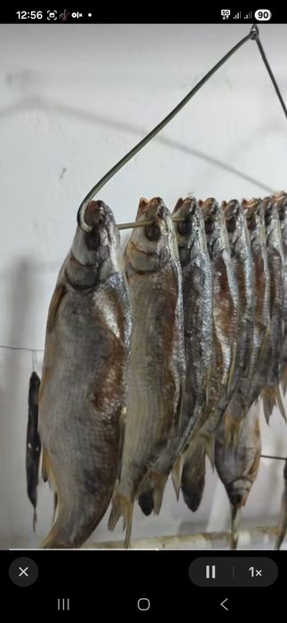 Рыба Рыбец вяленная