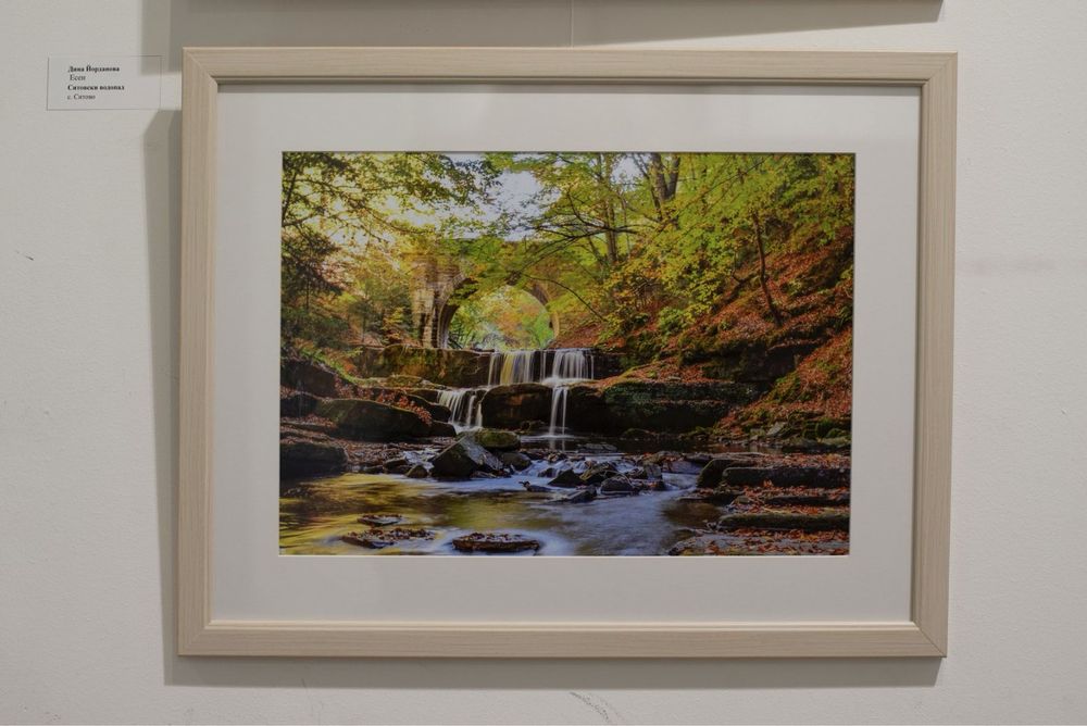 Професионално заснети картини в рамка - идеални за дома и офиса