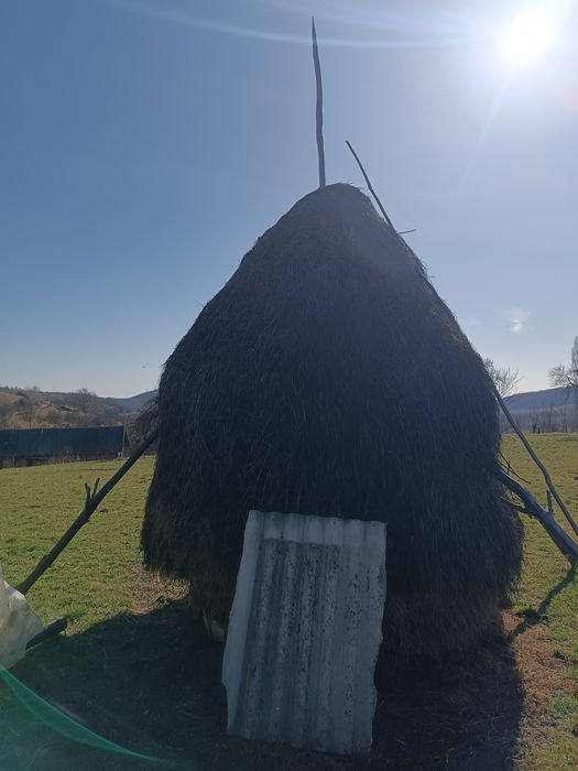 Vând 6 baloți  de lucernă și o claie