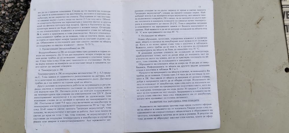 Инкубатор Декада