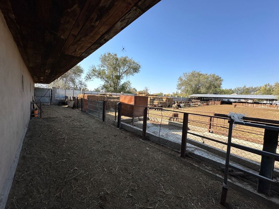 Фермерское хозяйство