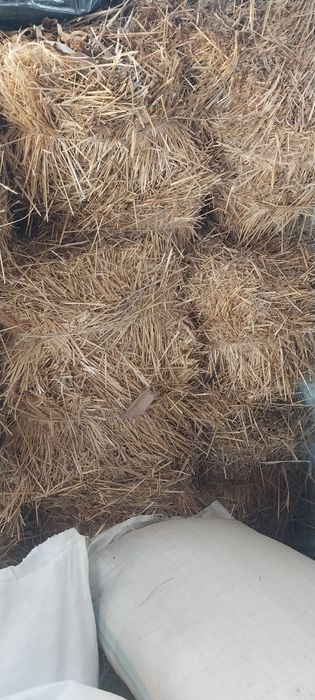 Сено салома для скатины