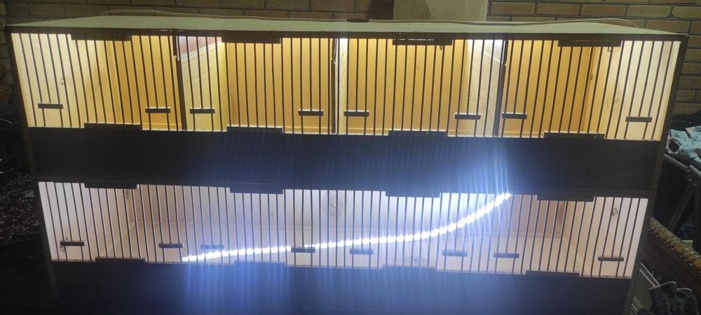 Italiya bedana makiyonlari uchun qafaslar