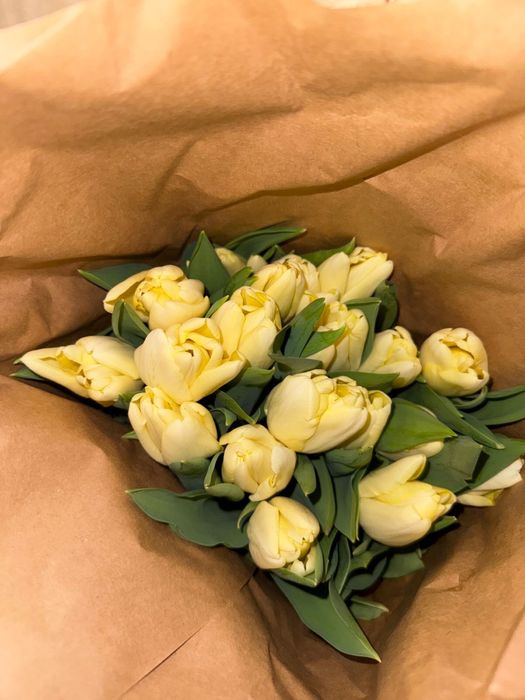 Голландские тюльпаны