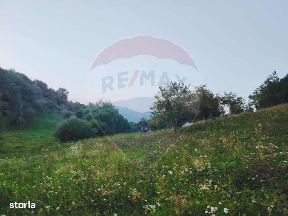 Comision 0! Teren intravilan 2.339 mp Barsana – oferta rara