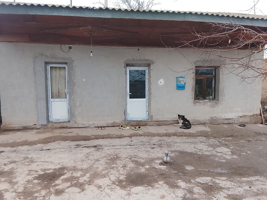 Срочна котта йеримиза сотилади 37 сотих