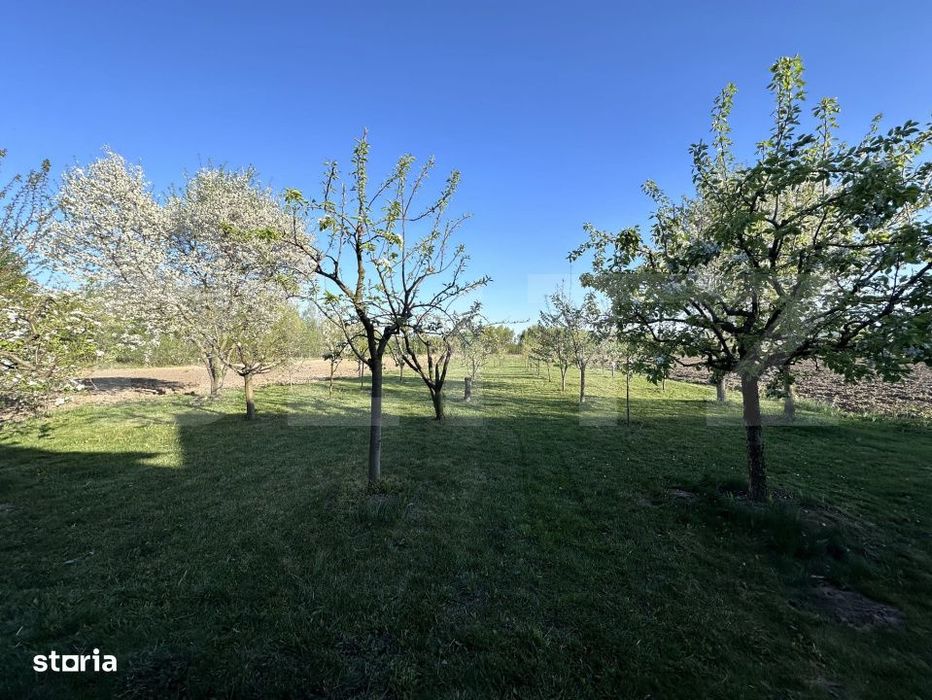 Casa 5 camere, 21 ari teren, zona Darmanesti
