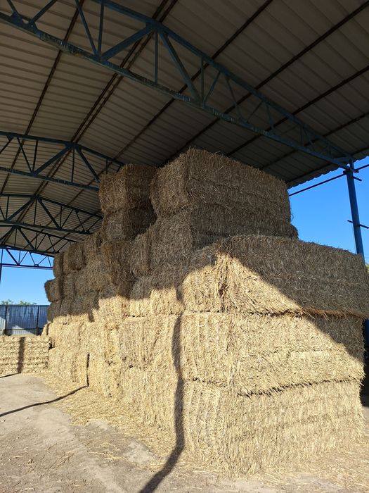 Baloti paie dreptunghiulari mici si mari/presa/balotiera KRONE big pack/tract0r deutz 275cp