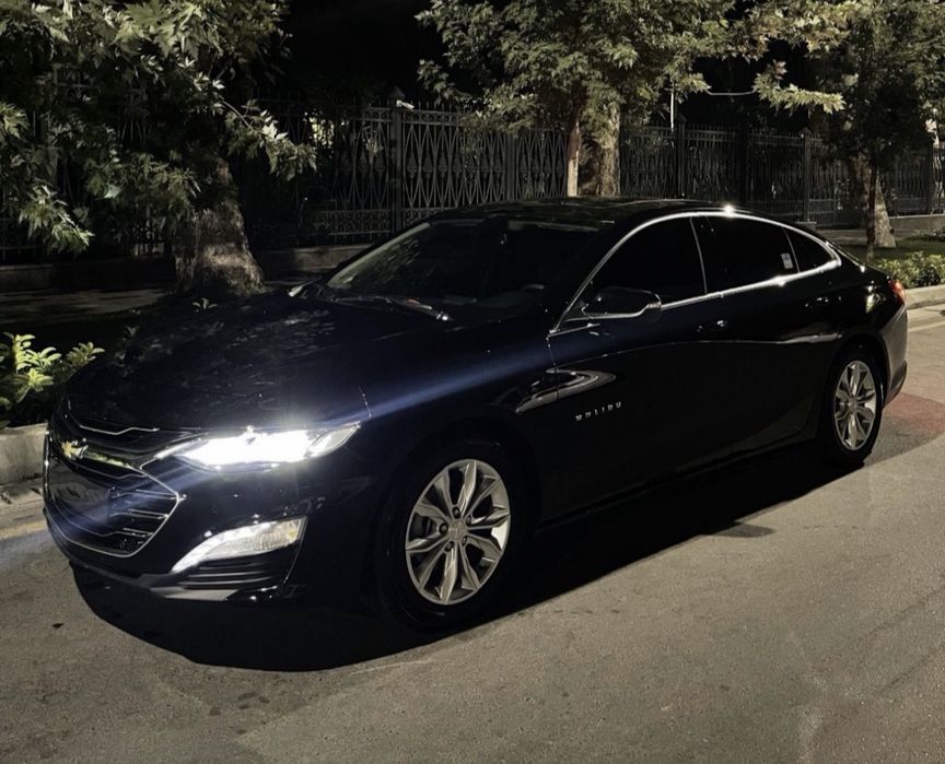 Rent car | Kunlik ijara | Автопркат