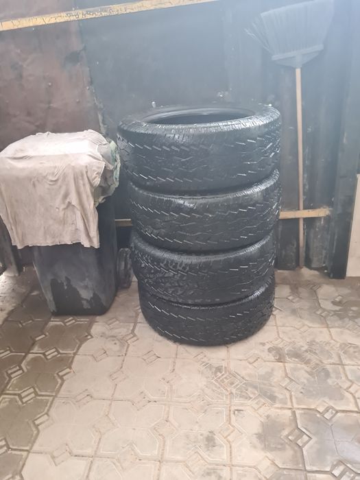 Автомобильные шины