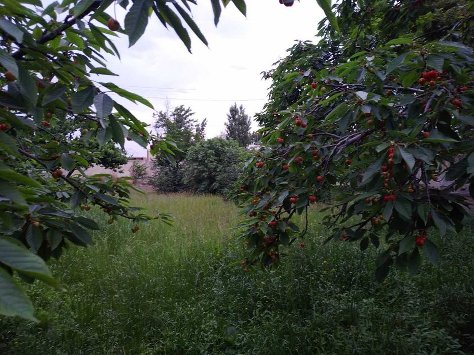 Дам олиш маскани биноси СОТИЛАДИ!!!