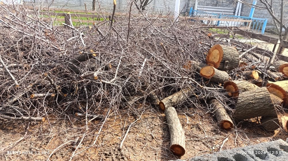 Отдам бесплатно дрова