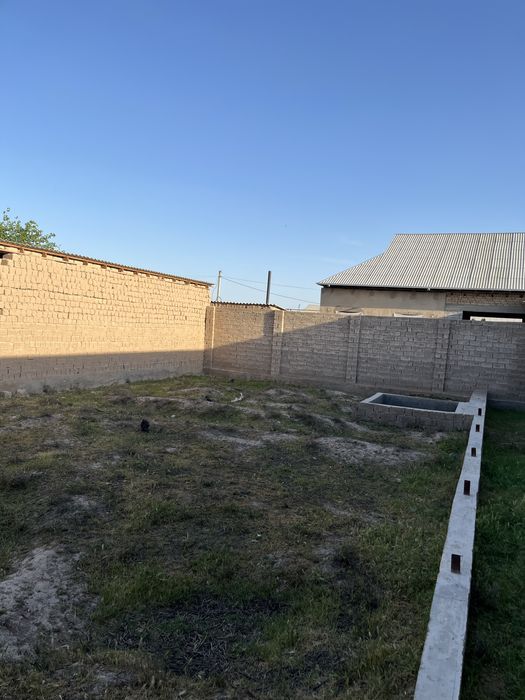 Yangi shoyxuja paxta tola tugrisidan kiriladi
