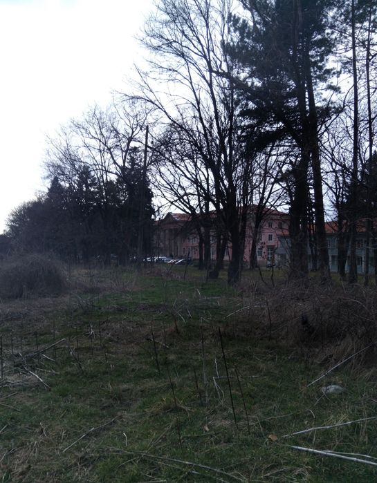 Продава се Парцел в Сапарева баня - 800 кв.м за 38 €/кв.м - Снимка #2