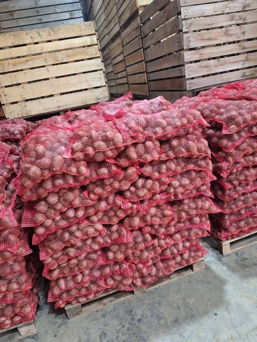 Cartofi Consum Proaspeți și Gustoși