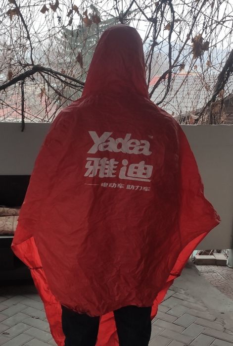 Дождавик и багажник