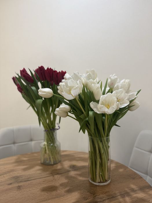 Алматинские тюльпаны