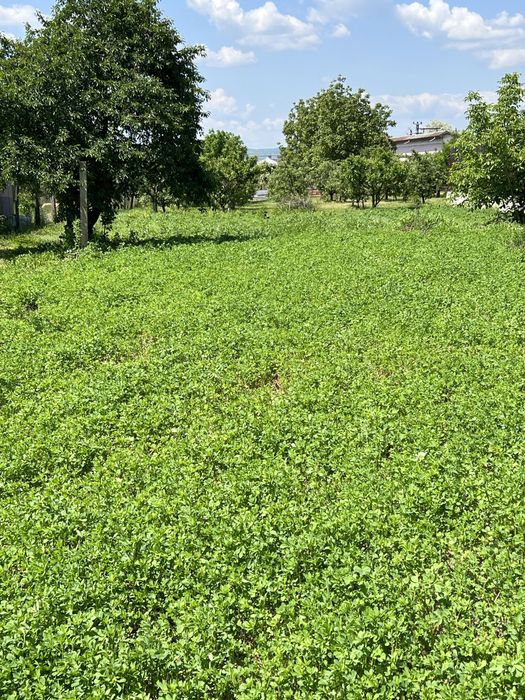 Teren Intravilan 2000 mp-Letea Veche-5 km de Bacau