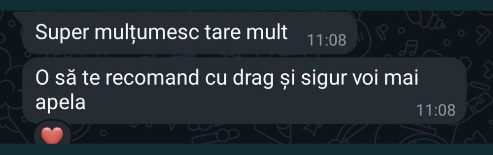 Realizez teme, proiecte, atestate