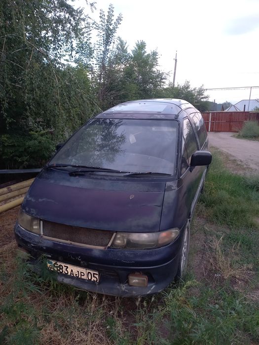 Срочно продам люсида
