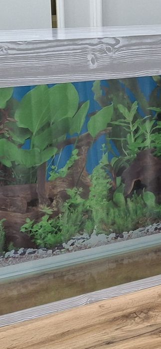 Фон для аквариума 80×50