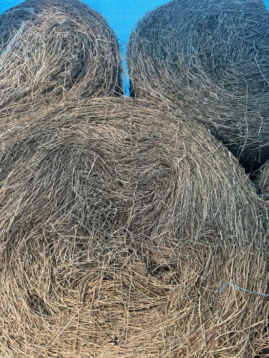 Baloti lucerna CALITATE SUPERIOARA de vanzare