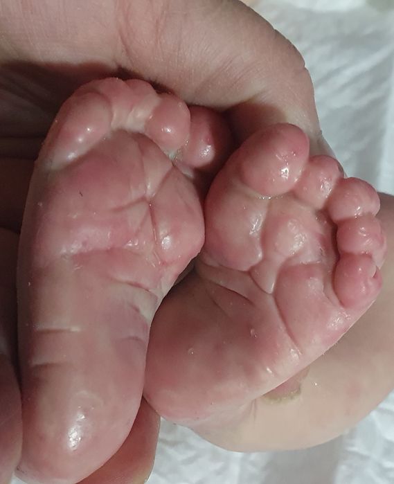 Papusa reborn silicon