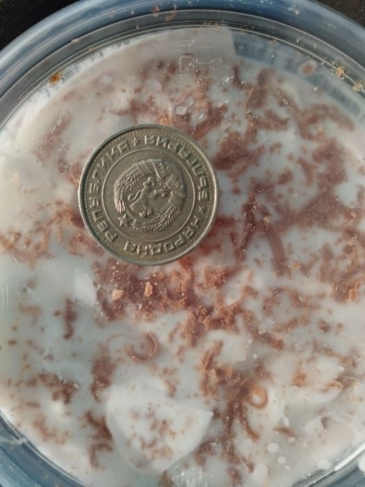 1лев от 1990година