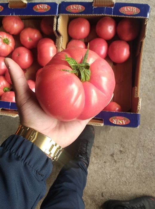 зеленчуци и плодове