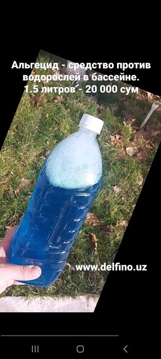 Альгецид для бассейна