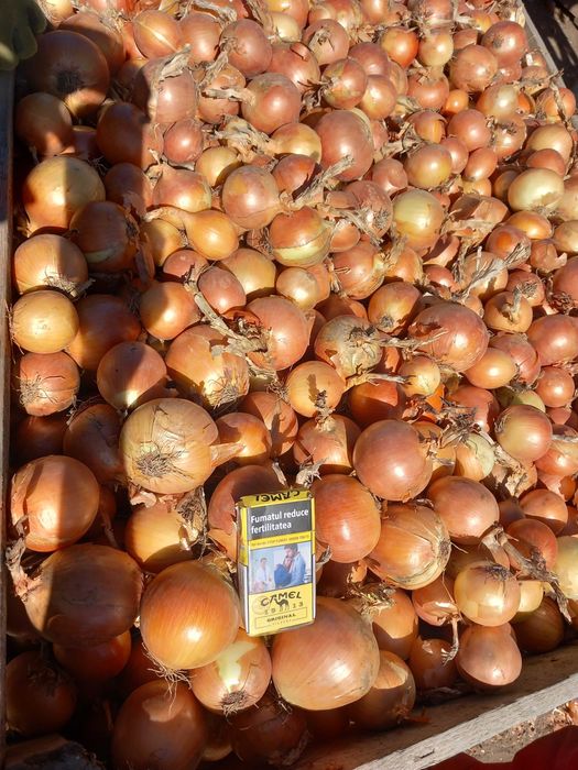 Ceapa de vânzare