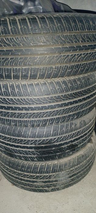 15 balon sotiladi  .1 donasi 300 ming.