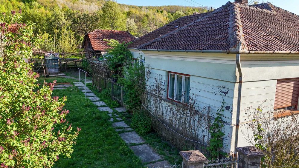 De vânzare proprietate cu 2 case individuale