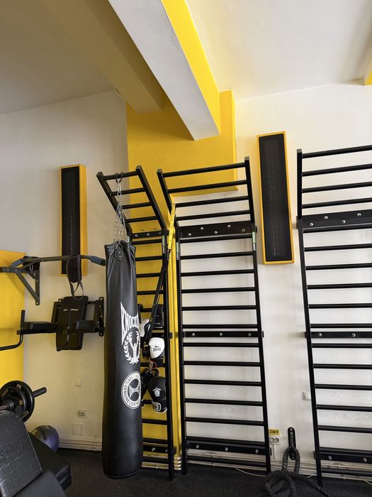 Vand set spaliere din fier,bara tractiuni si ab/dip wall mount