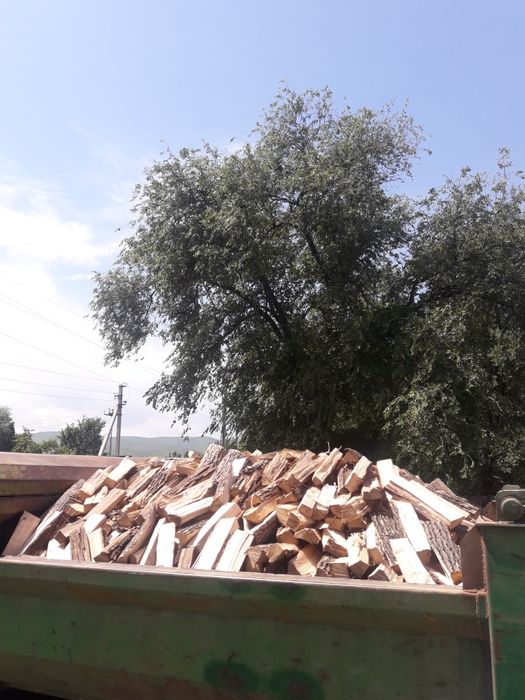 Дрова карагач тополь