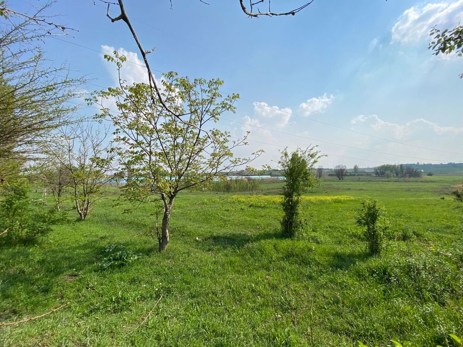 Недвижимость земли