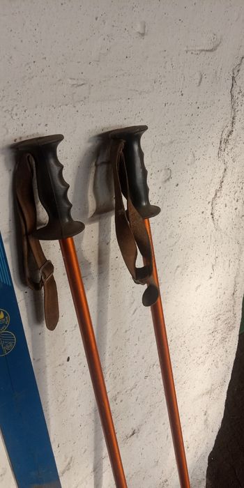 Лыжи , ботинки , палки .