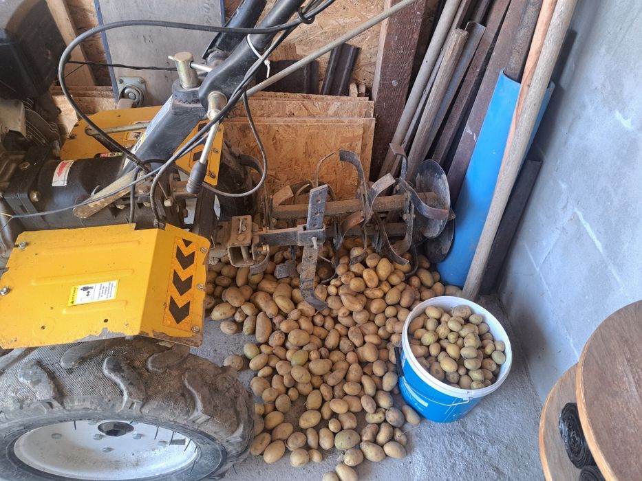 Motocultor  progarden