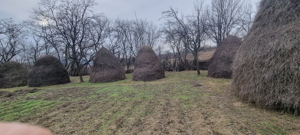 Fan de vanzare vrac și țuica