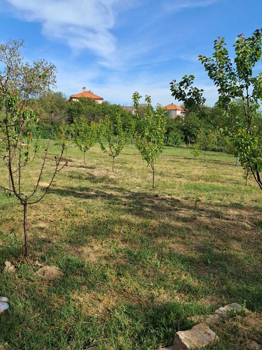 Продава се Парцел в с. Калипетрово, Област Силистра - 1176 кв.м за 65 €/кв.м - Снимка #3