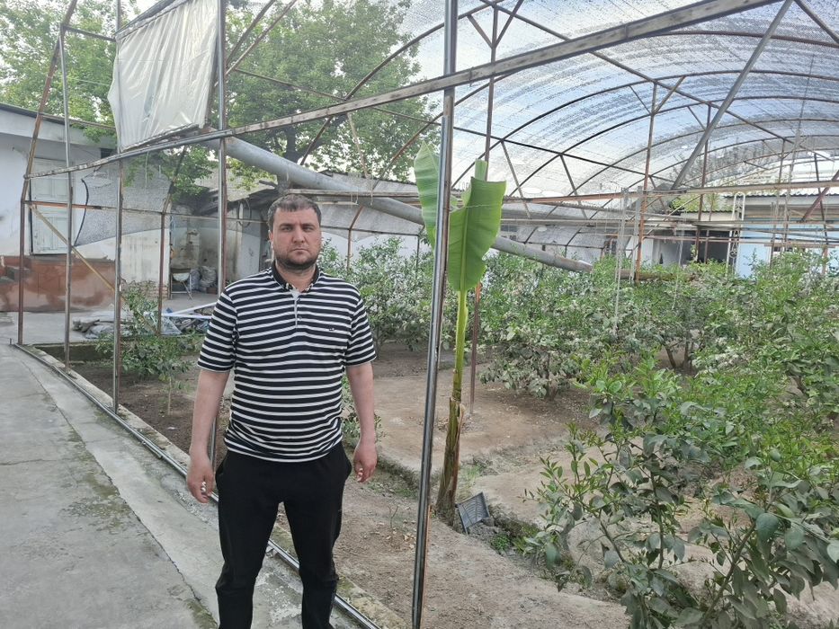Issiqxona qurish hizmati