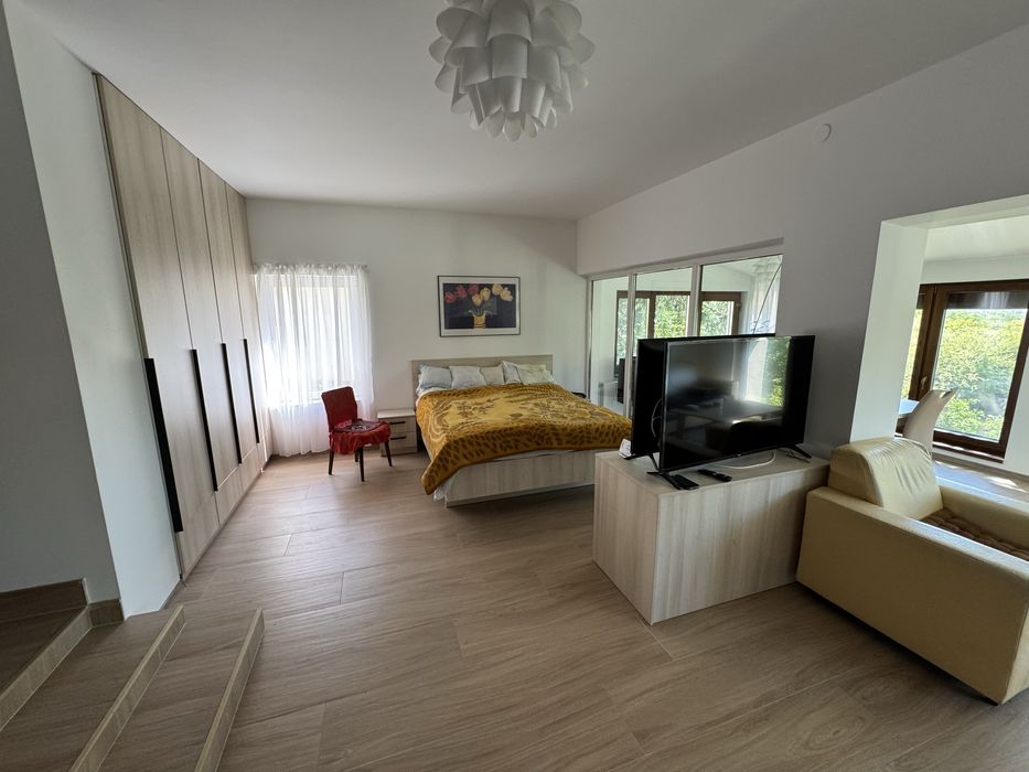 Casa de vanzare in Podgoria cu iesire la Crisul Repede
