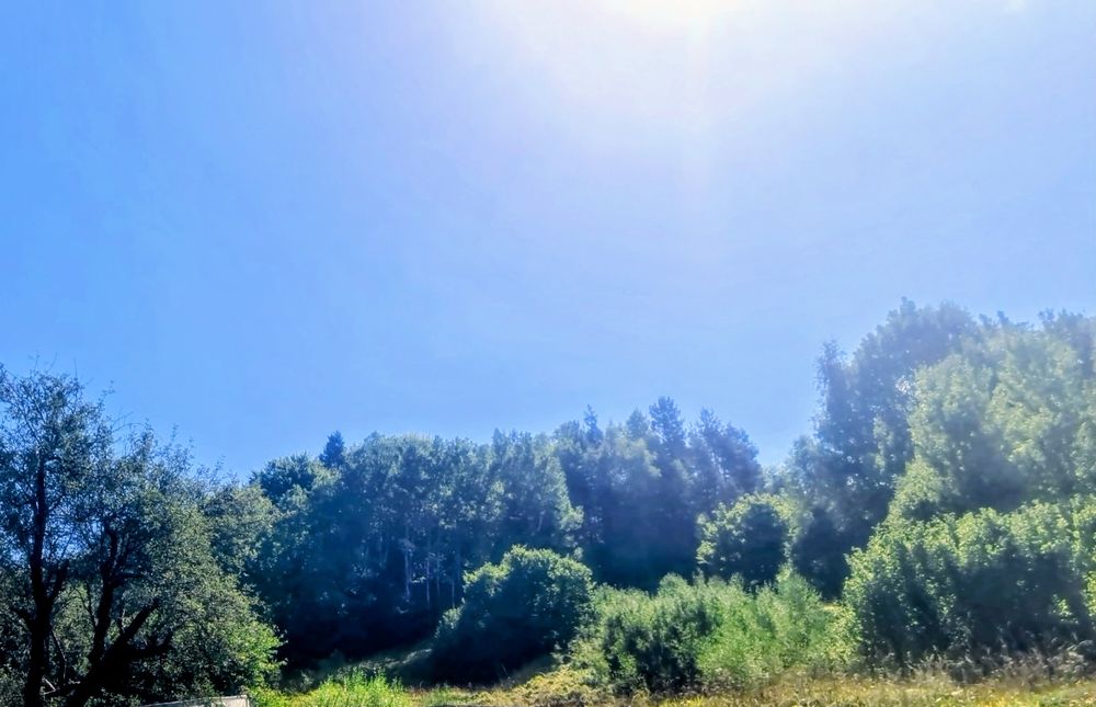 Продавам гора 9700 кв.м. в гр.Смолян,кв.Устово,над Комуна