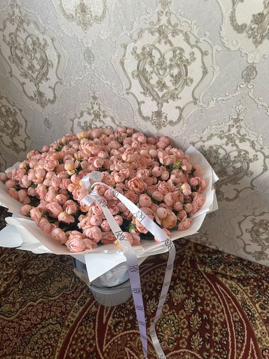 свежий гул атылады новый